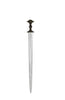 Saxon Sword S5713M
